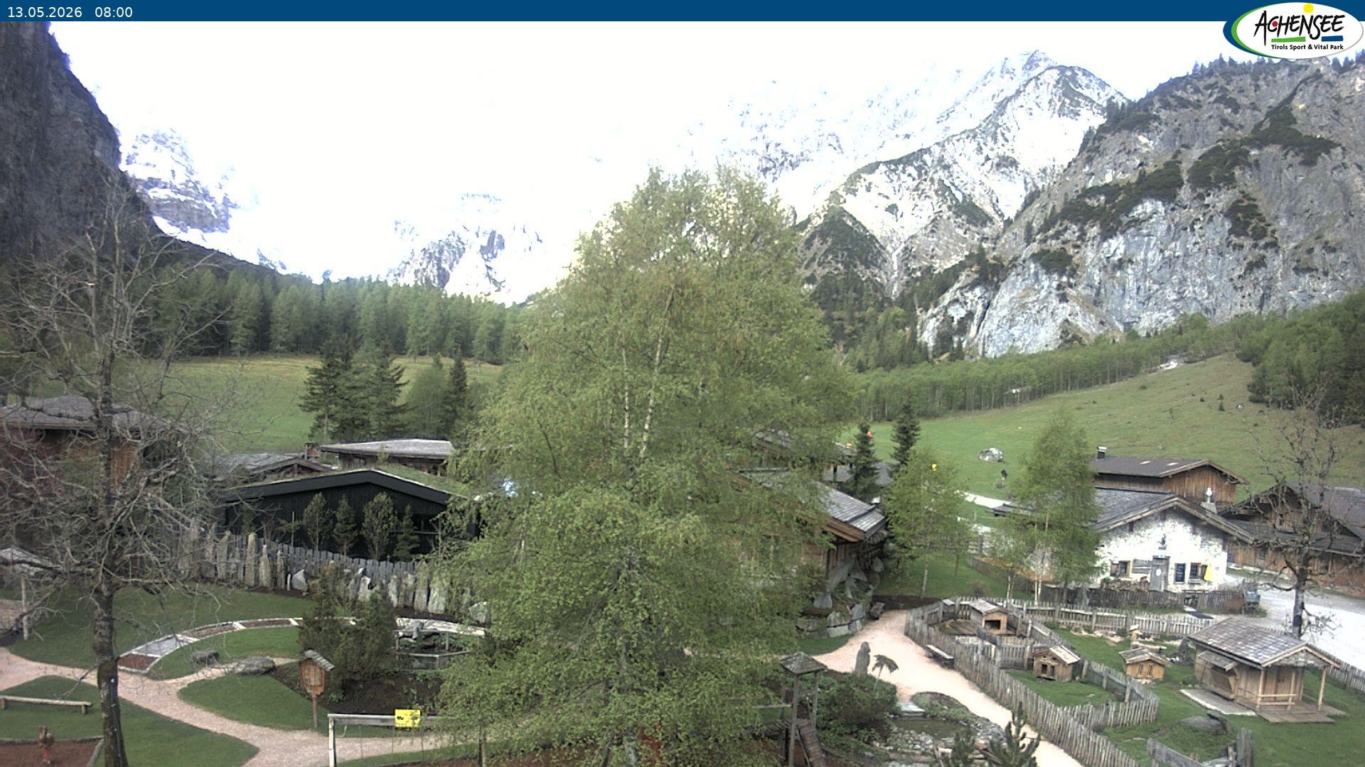 Archiv Foto Webcam Gramaialm bei Pertisau