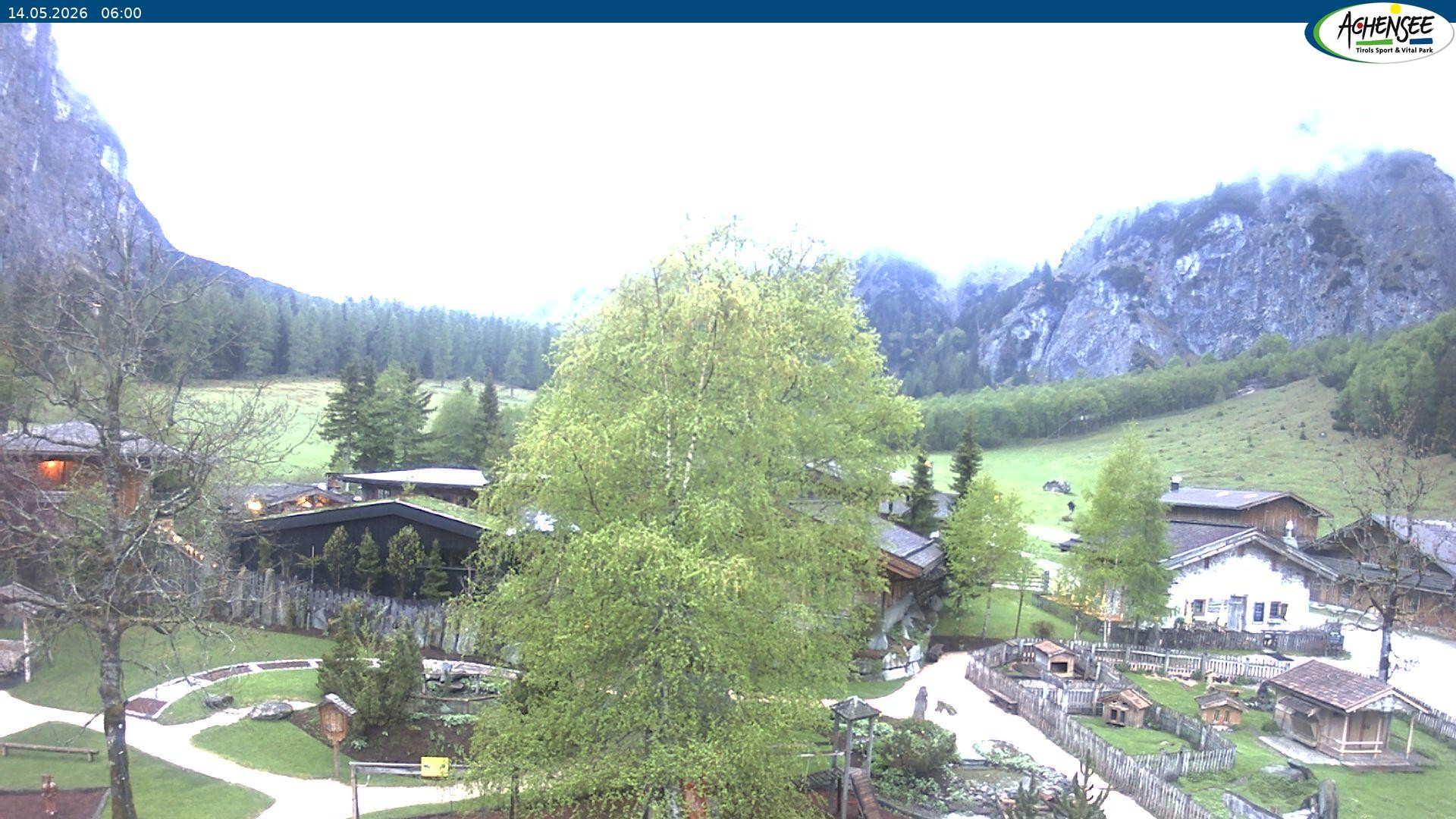 Archiv Foto Webcam Gramaialm bei Pertisau