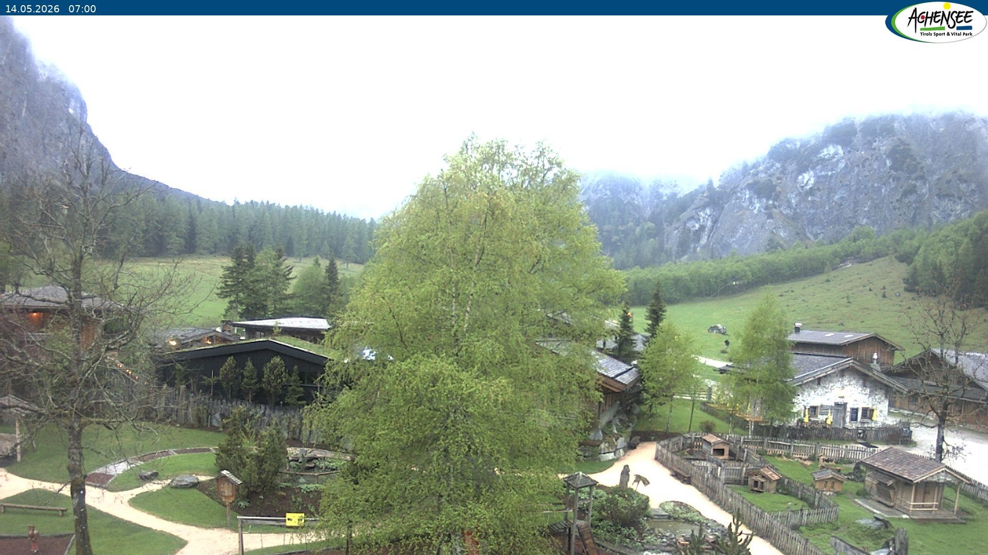 Archiv Foto Webcam Gramaialm bei Pertisau