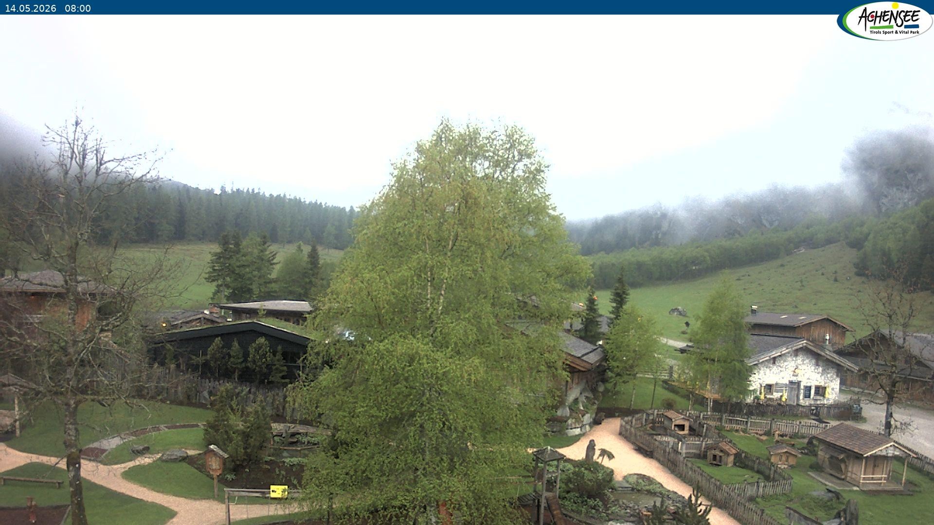 Archiv Foto Webcam Gramaialm bei Pertisau