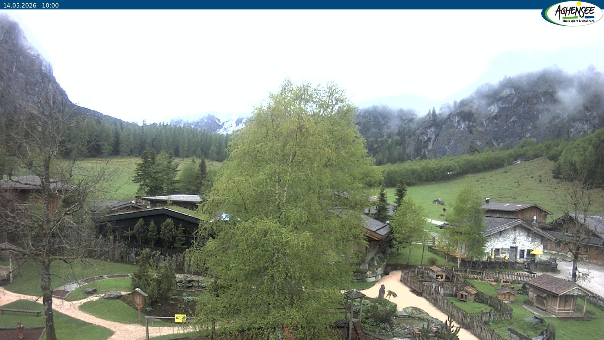 Archiv Foto Webcam Gramaialm bei Pertisau