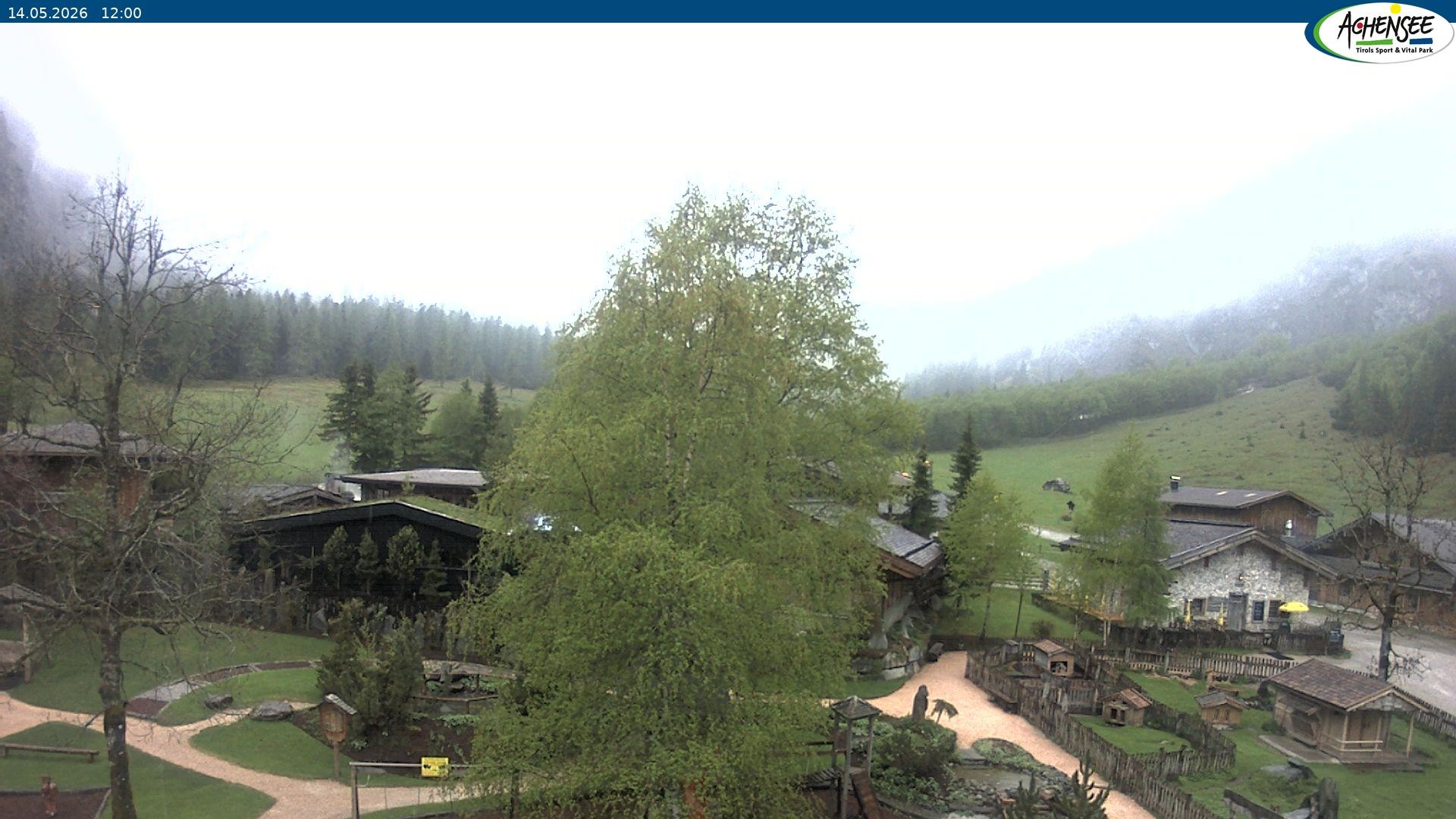 Archiv Foto Webcam Gramaialm bei Pertisau