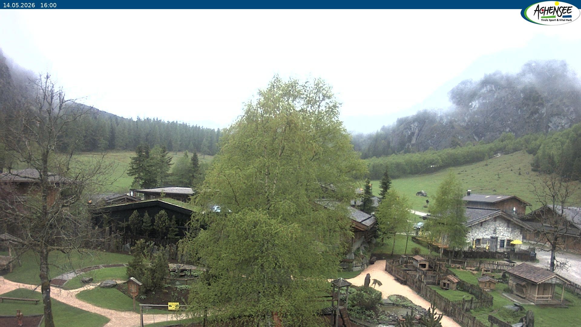 Archiv Foto Webcam Gramaialm bei Pertisau