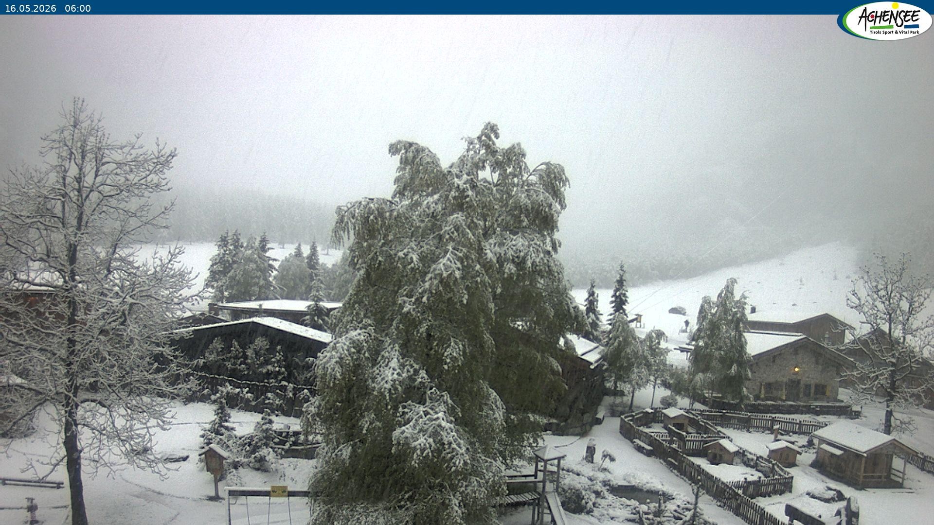 Archiv Foto Webcam Gramaialm bei Pertisau