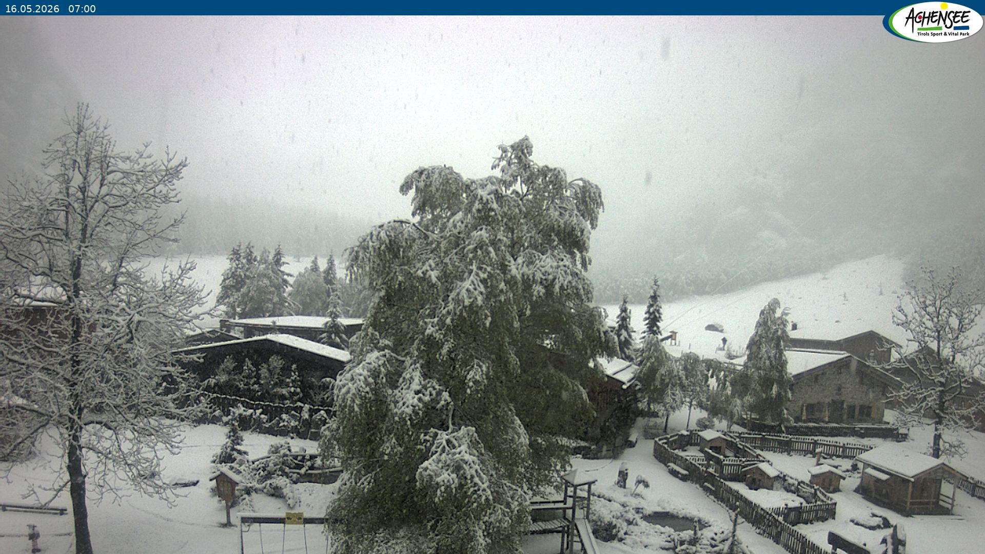 Archiv Foto Webcam Gramaialm bei Pertisau