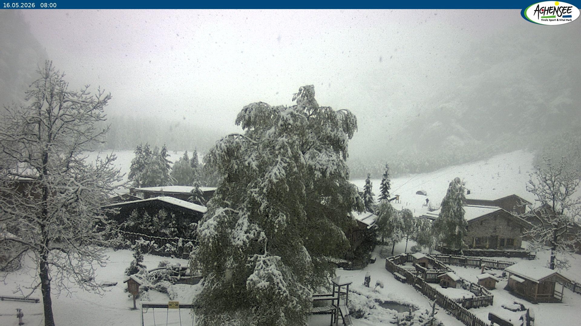 Archiv Foto Webcam Gramaialm bei Pertisau