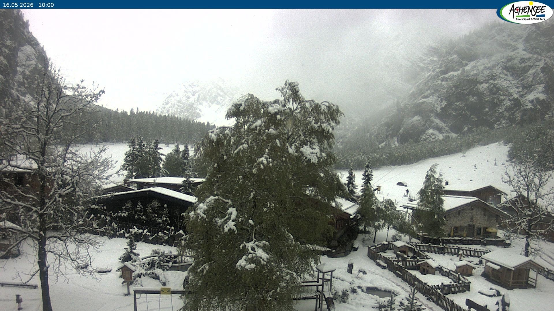 Archiv Foto Webcam Gramaialm bei Pertisau
