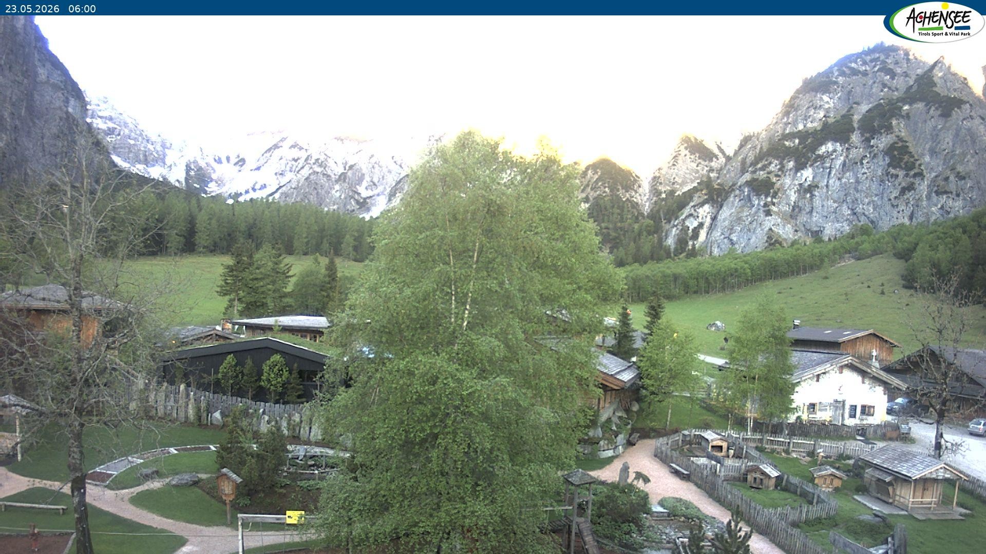 Archiv Foto Webcam Gramaialm bei Pertisau