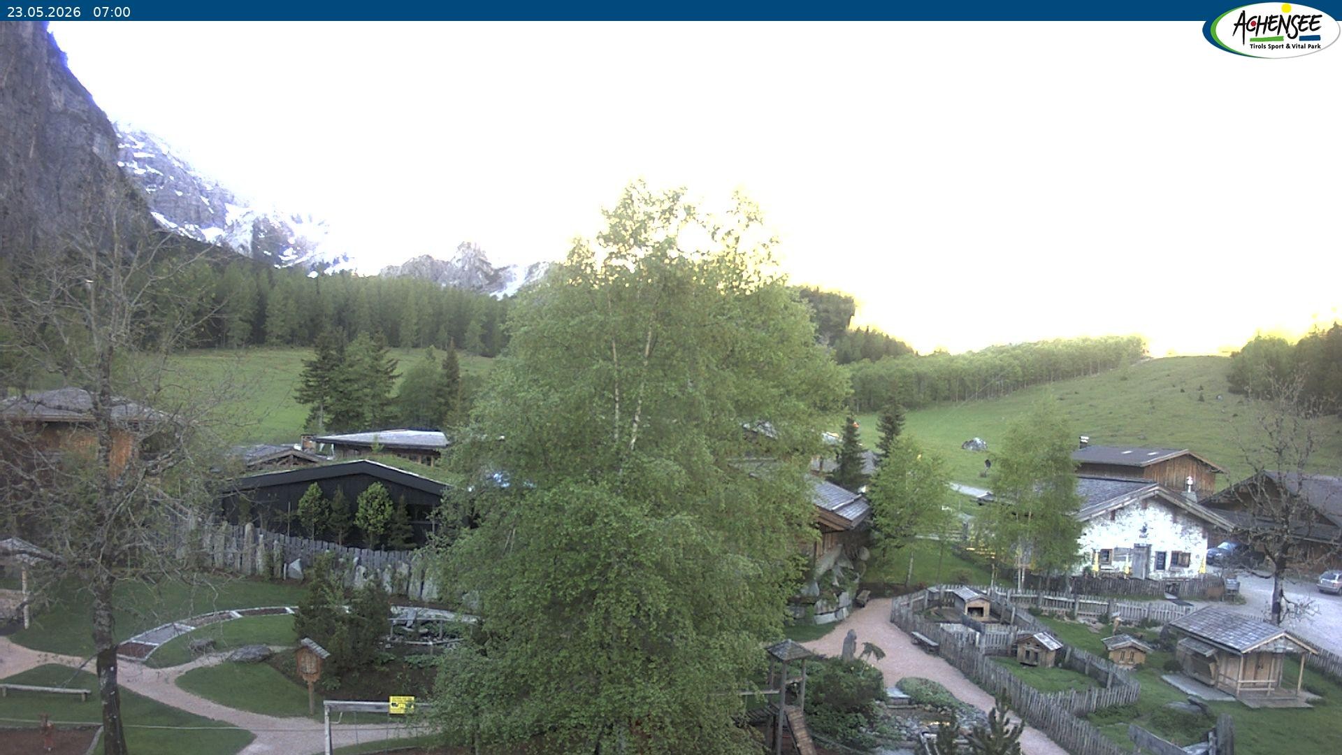 Archiv Foto Webcam Gramaialm bei Pertisau
