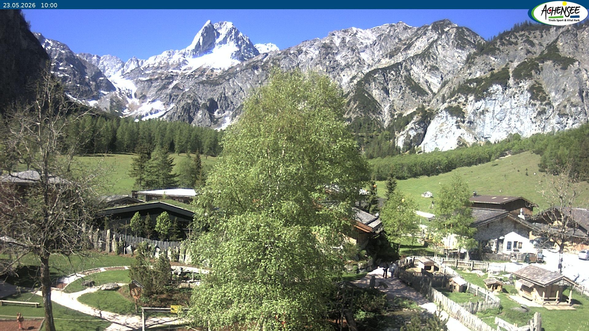 Archiv Foto Webcam Gramaialm bei Pertisau