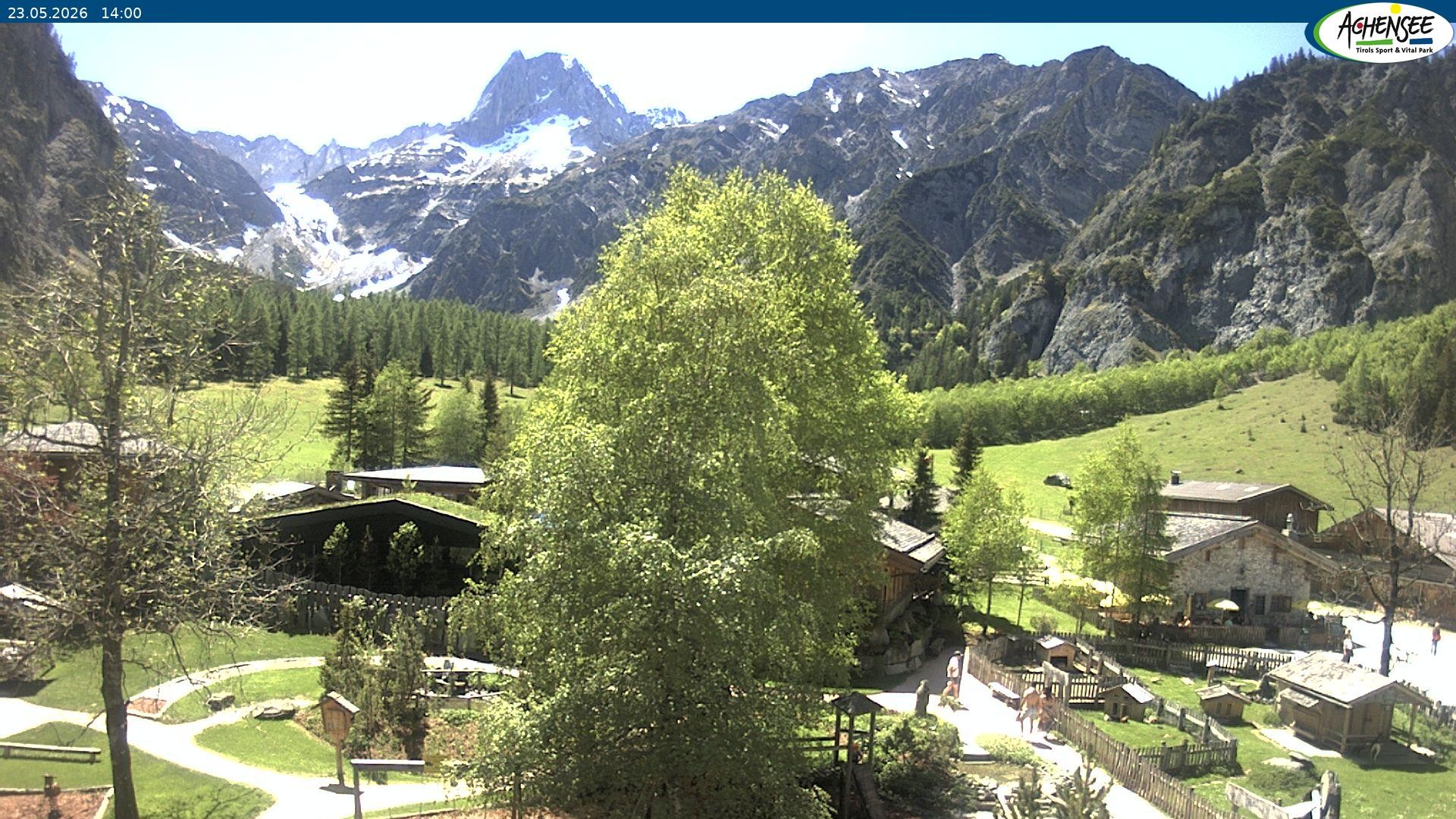 Archiv Foto Webcam Gramaialm bei Pertisau