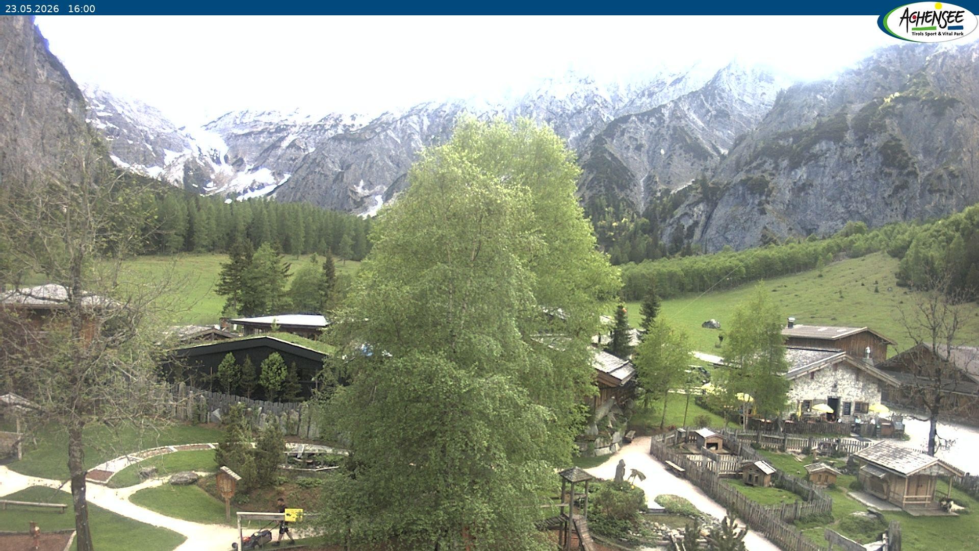 Archiv Foto Webcam Gramaialm bei Pertisau