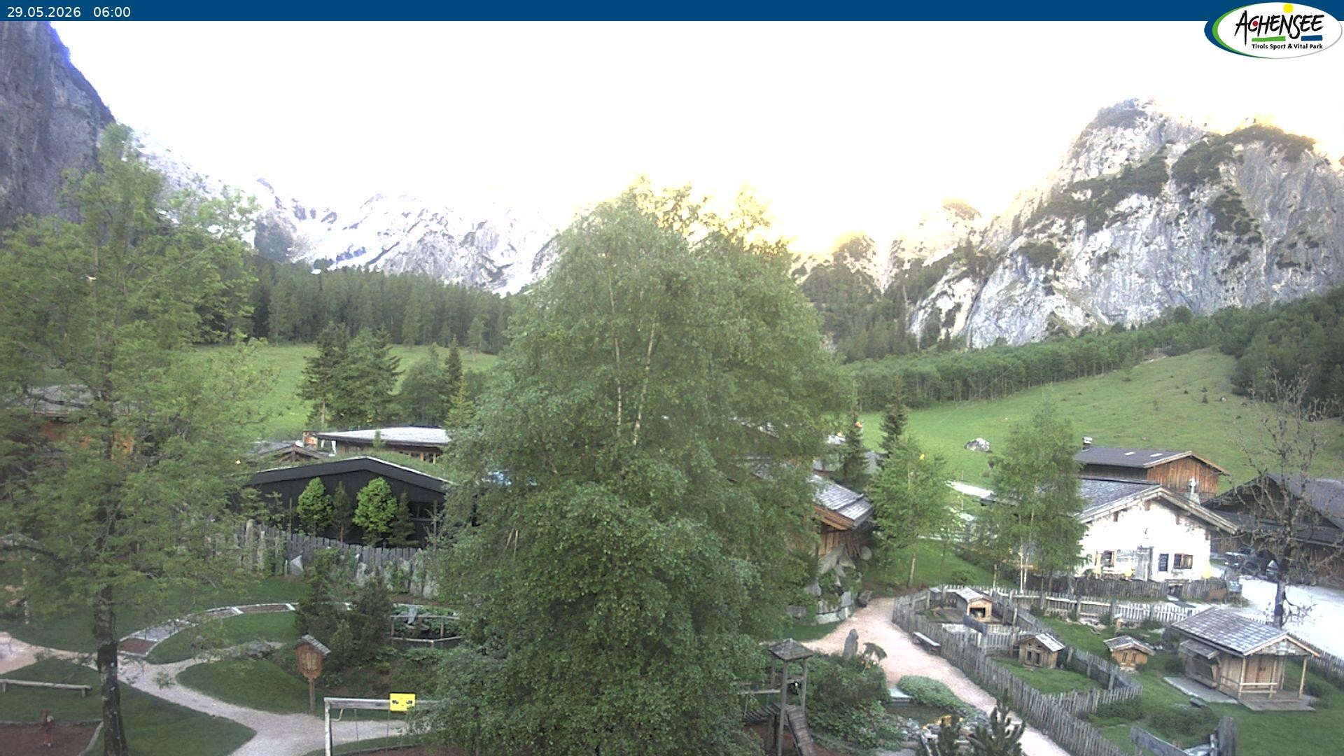 Archiv Foto Webcam Gramaialm bei Pertisau