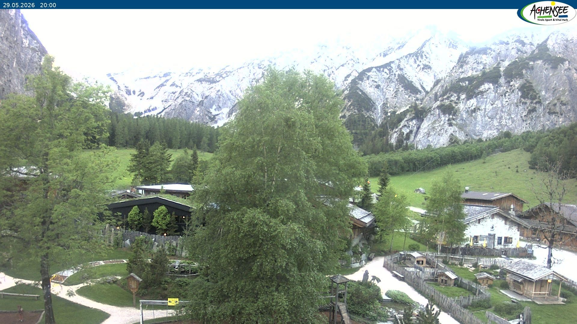 Archiv Foto Webcam Gramaialm bei Pertisau