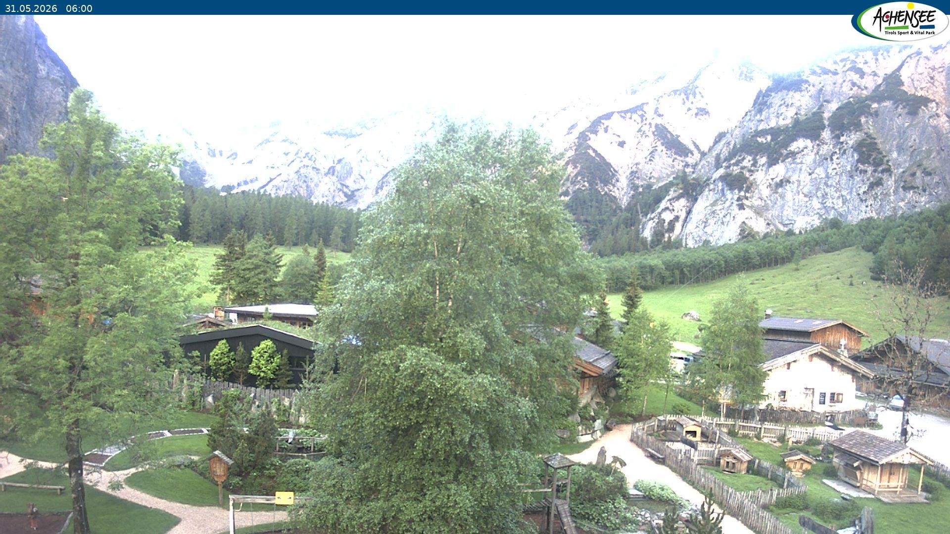 Archiv Foto Webcam Gramaialm bei Pertisau