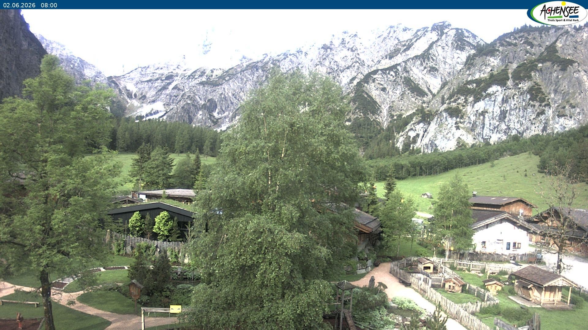 Archiv Foto Webcam Gramaialm bei Pertisau