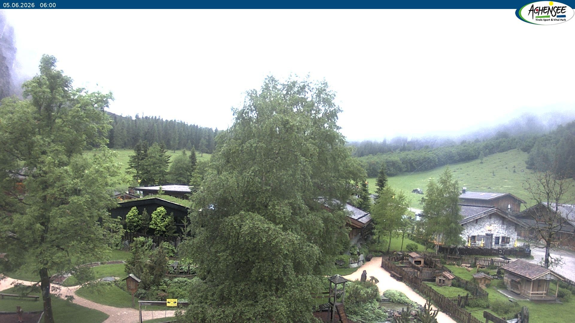 Archiv Foto Webcam Gramaialm bei Pertisau