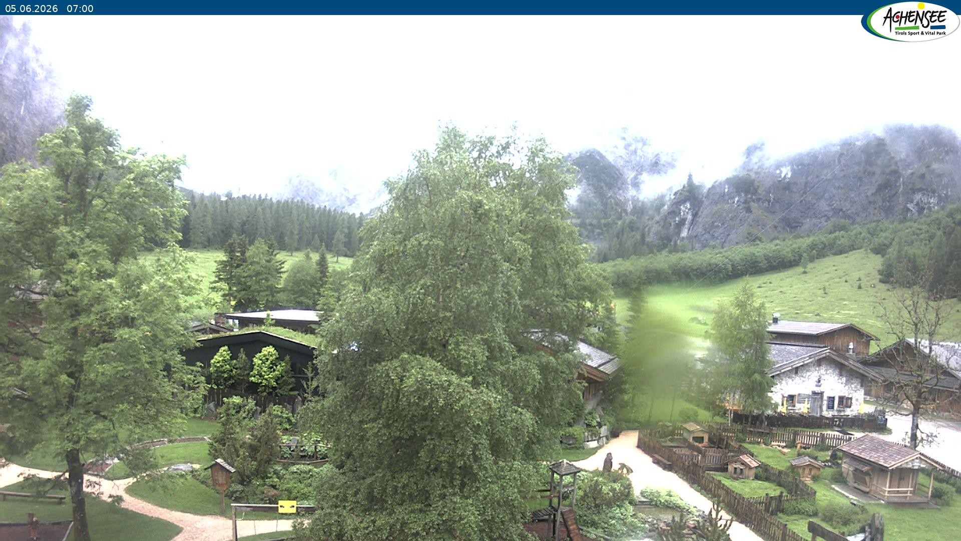 Archiv Foto Webcam Gramaialm bei Pertisau