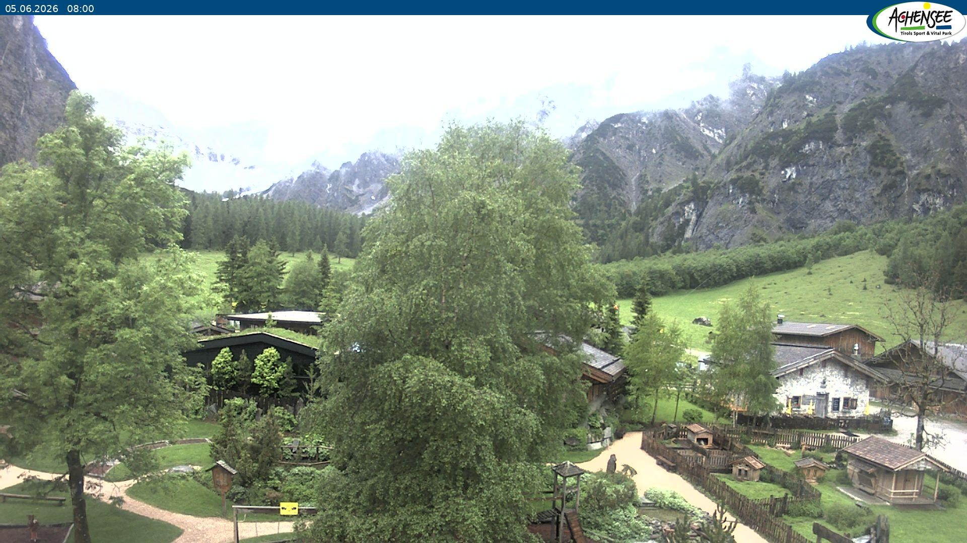 Archiv Foto Webcam Gramaialm bei Pertisau
