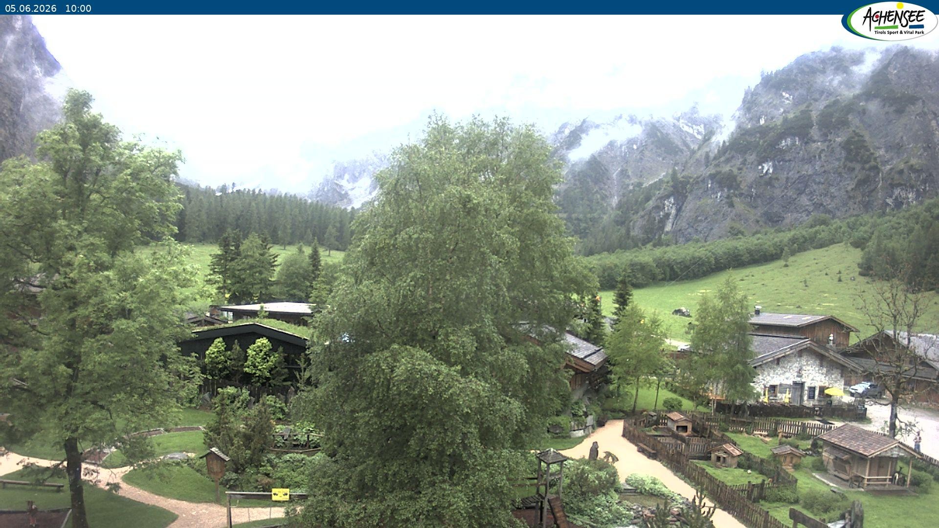 Archiv Foto Webcam Gramaialm bei Pertisau