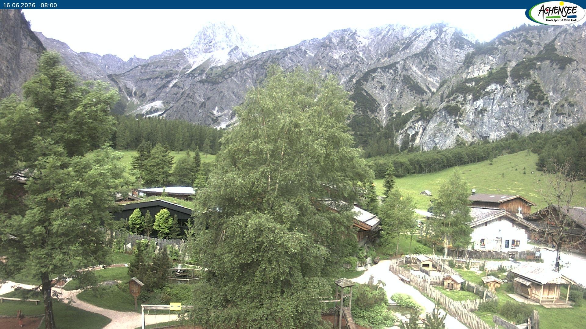 Archiv Foto Webcam Gramaialm bei Pertisau