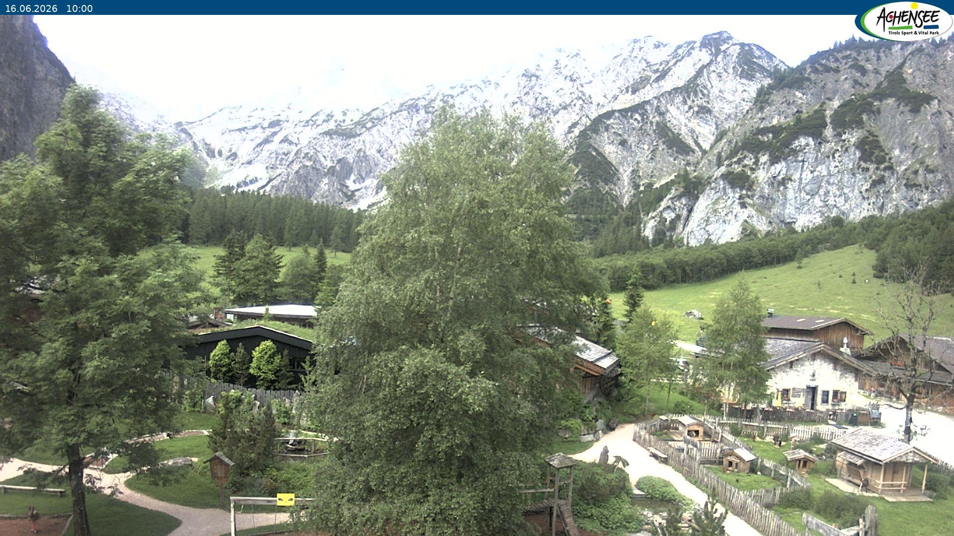 Archiv Foto Webcam Gramaialm bei Pertisau