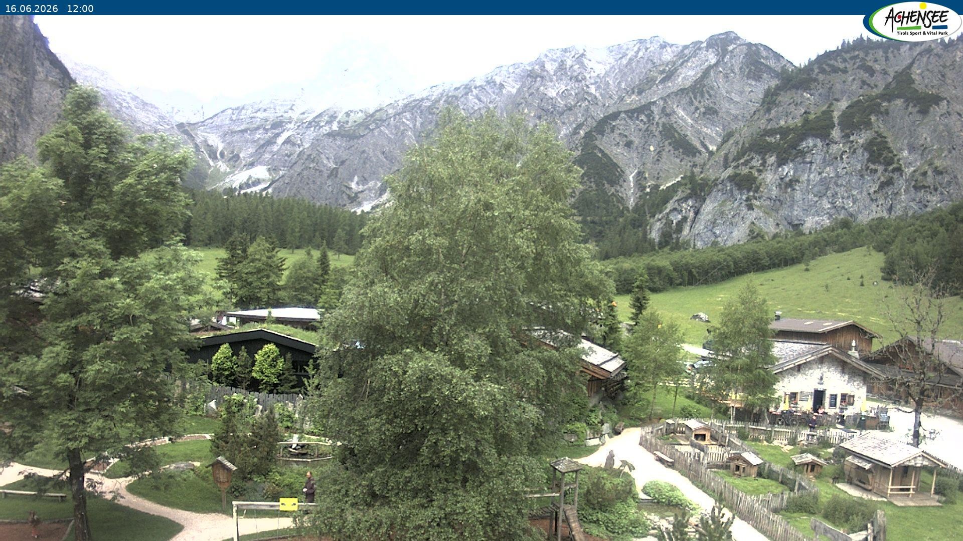 Archiv Foto Webcam Gramaialm bei Pertisau