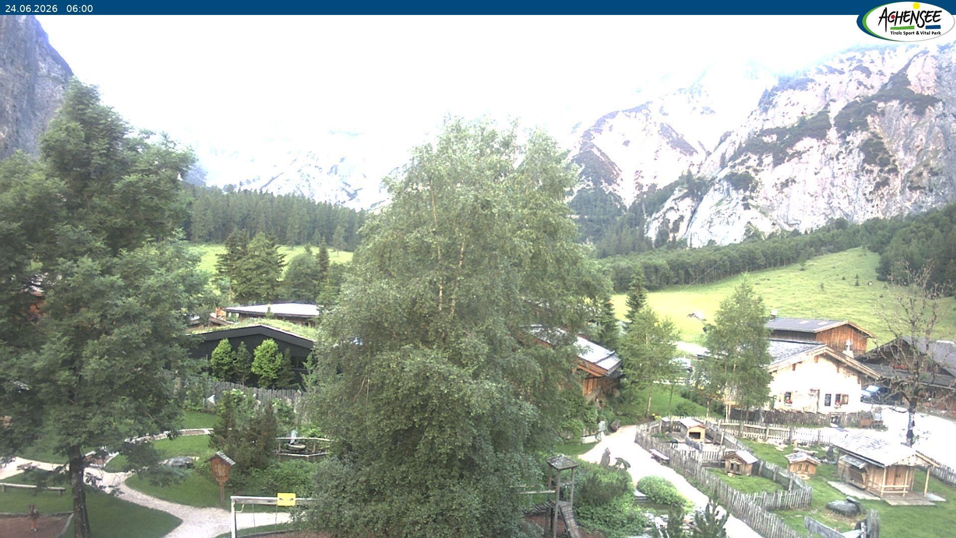 Archiv Foto Webcam Gramaialm bei Pertisau