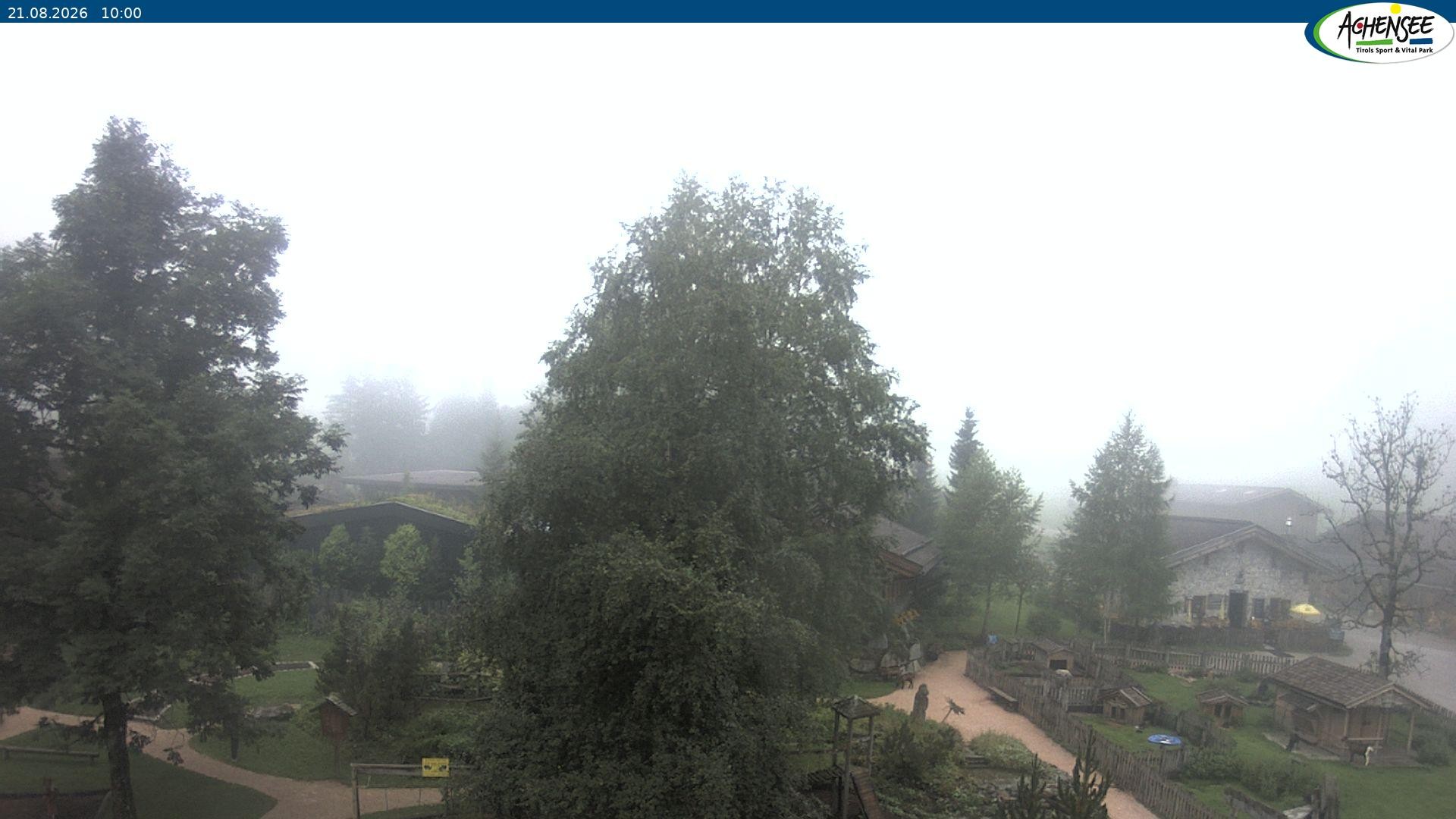 Archiv Foto Webcam Gramaialm bei Pertisau