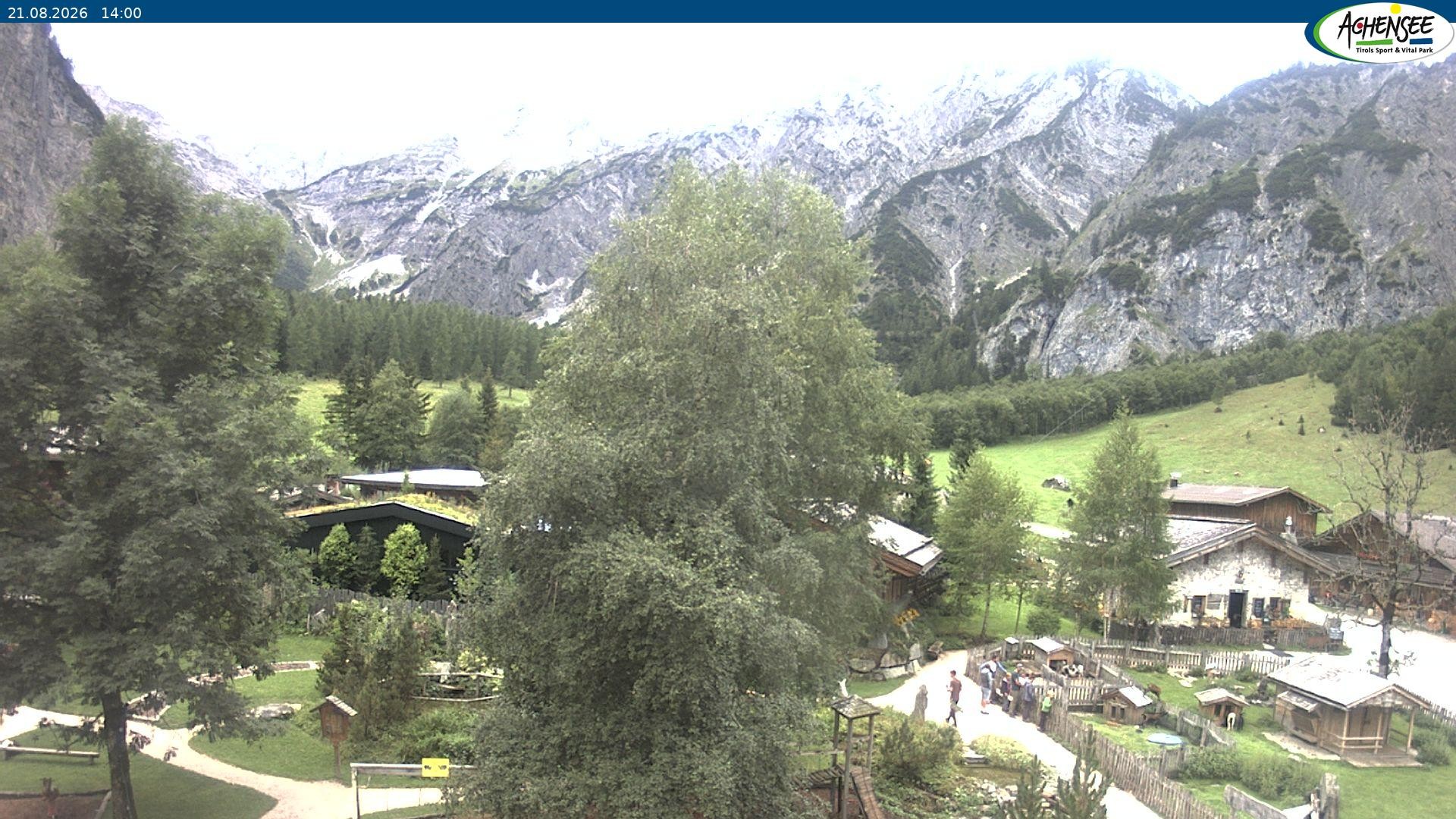 Archiv Foto Webcam Gramaialm bei Pertisau