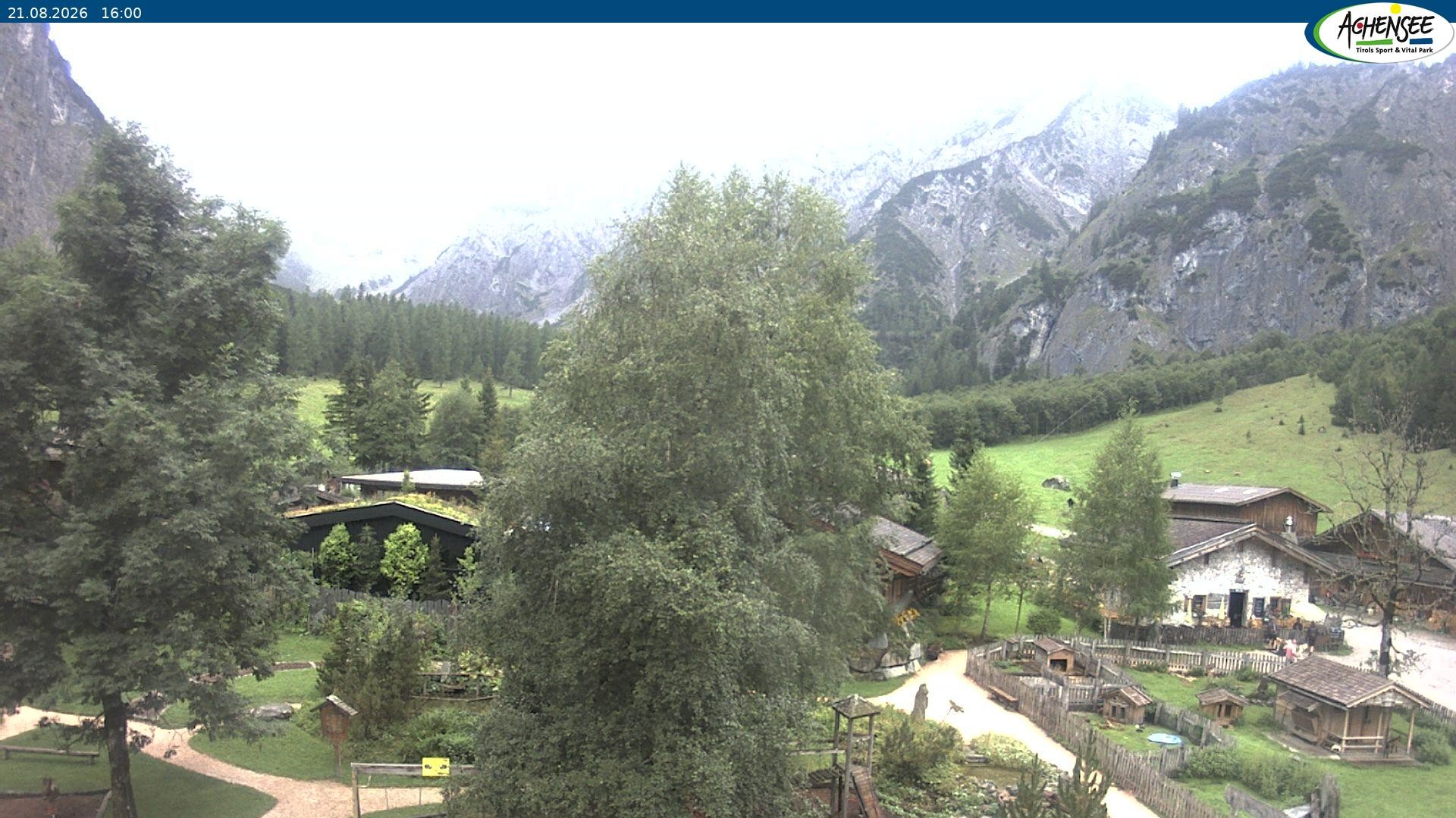 Archiv Foto Webcam Gramaialm bei Pertisau