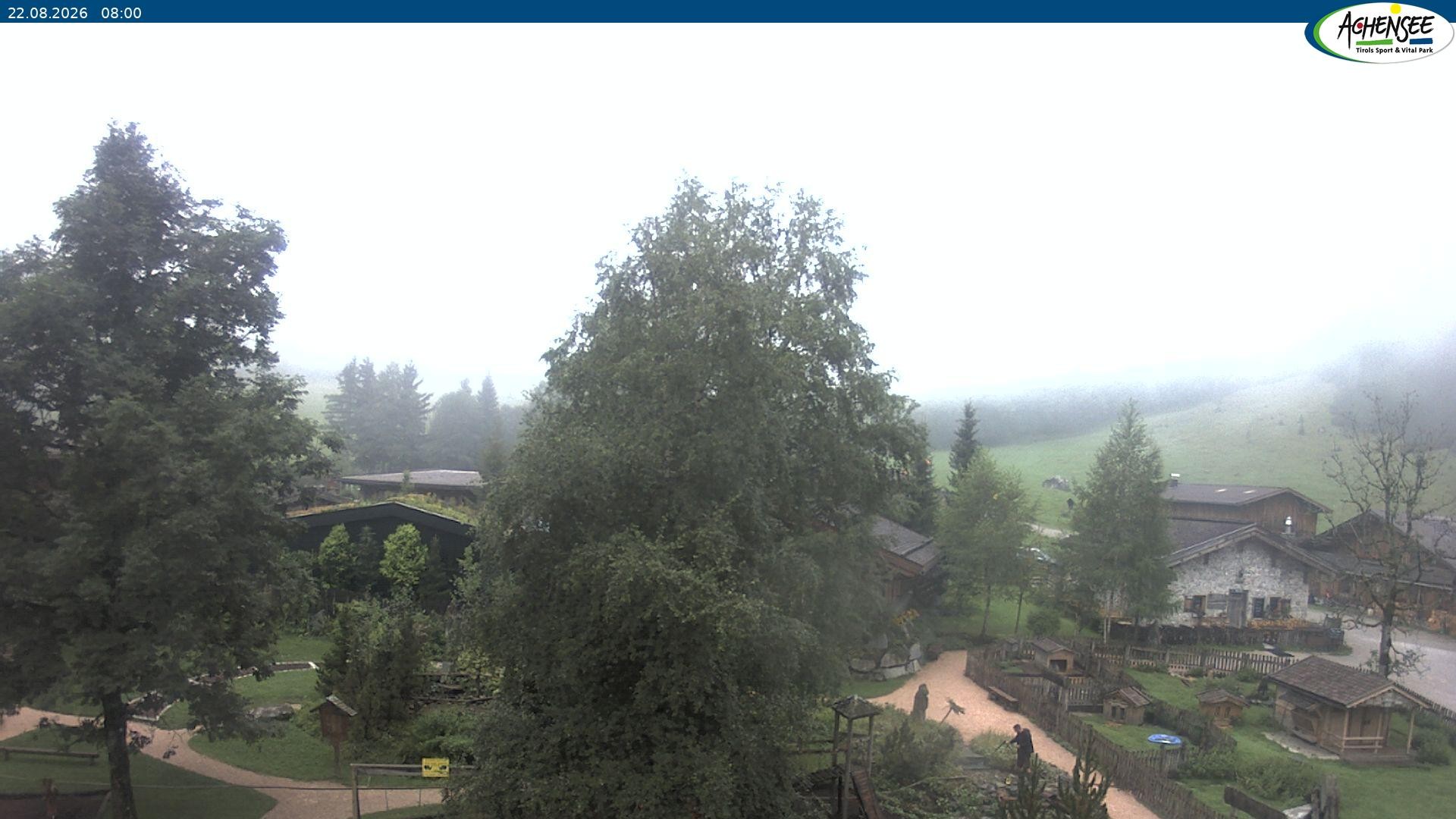 Archiv Foto Webcam Gramaialm bei Pertisau