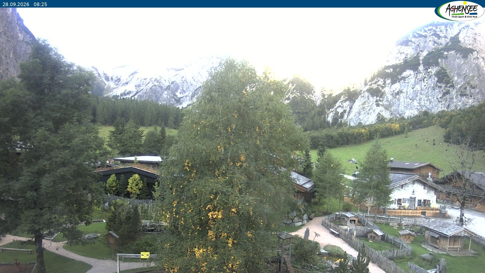 Archiv Foto Webcam Gramaialm bei Pertisau