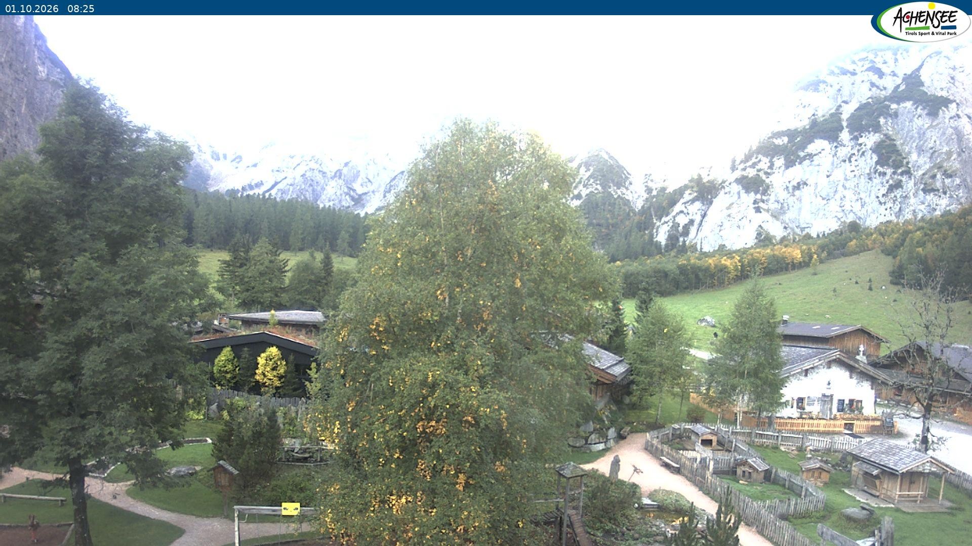 Archiv Foto Webcam Gramaialm bei Pertisau