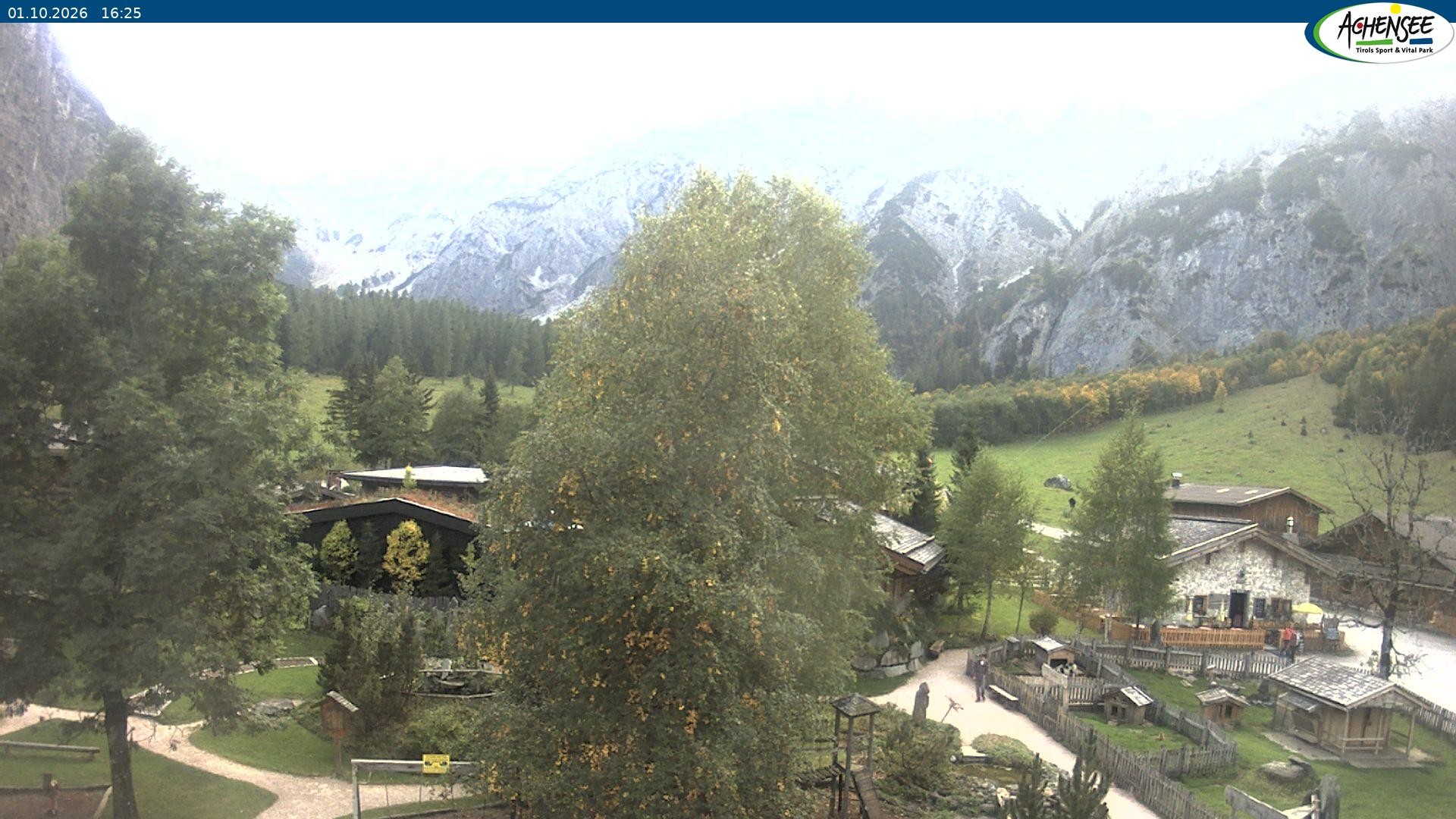 Archiv Foto Webcam Gramaialm bei Pertisau