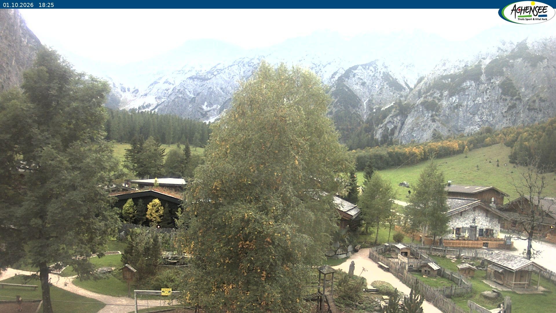 Archiv Foto Webcam Gramaialm bei Pertisau