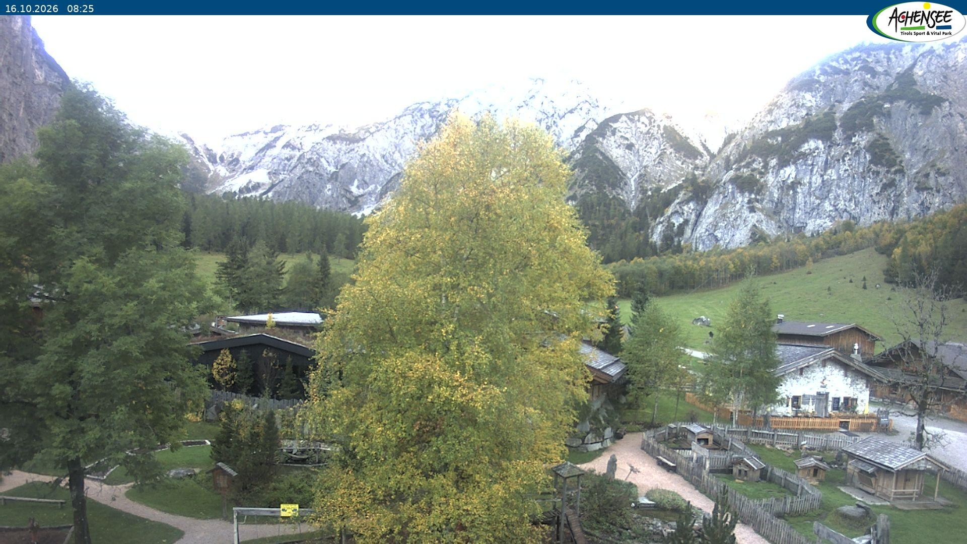 Archiv Foto Webcam Gramaialm bei Pertisau