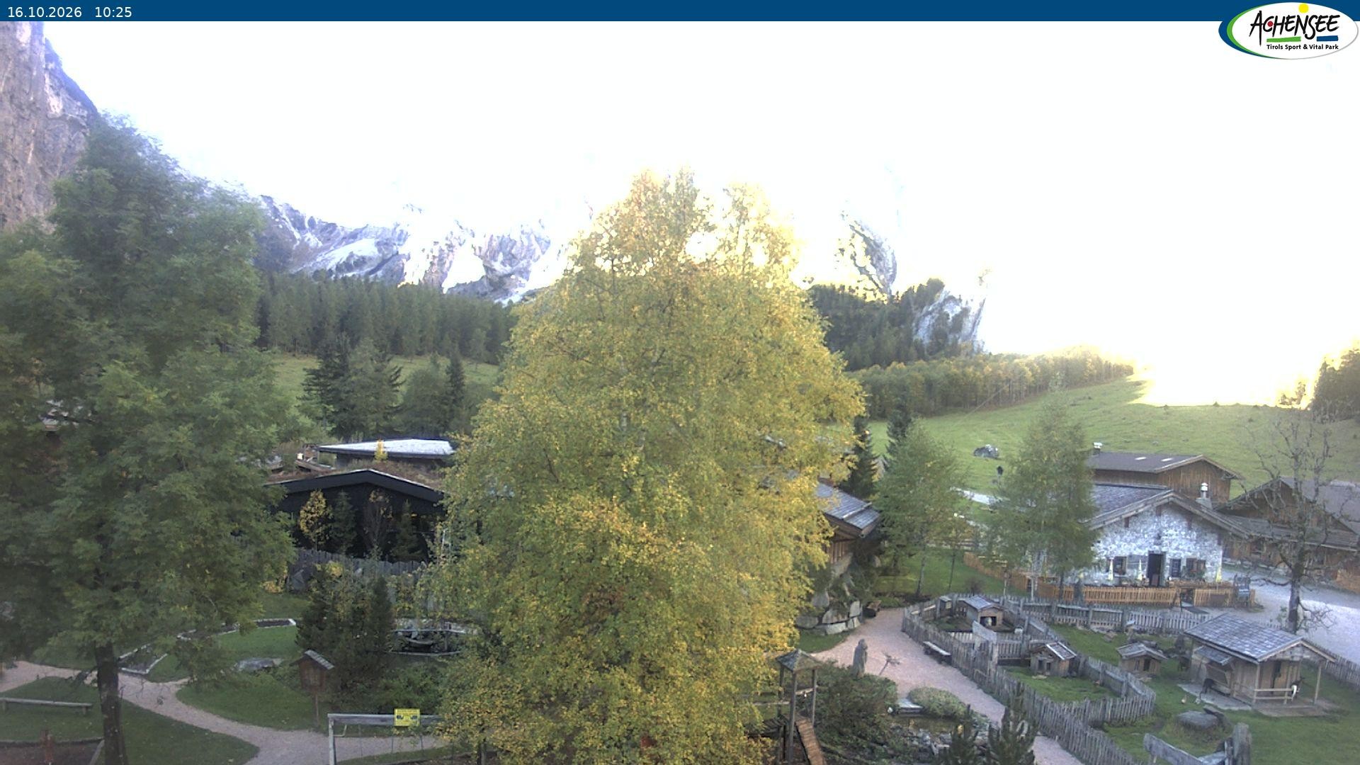 Archiv Foto Webcam Gramaialm bei Pertisau