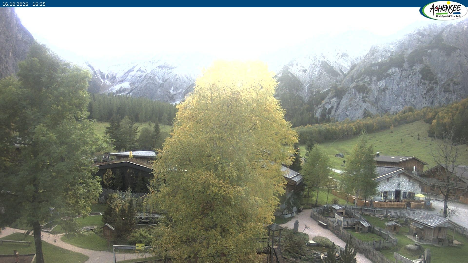 Archiv Foto Webcam Gramaialm bei Pertisau