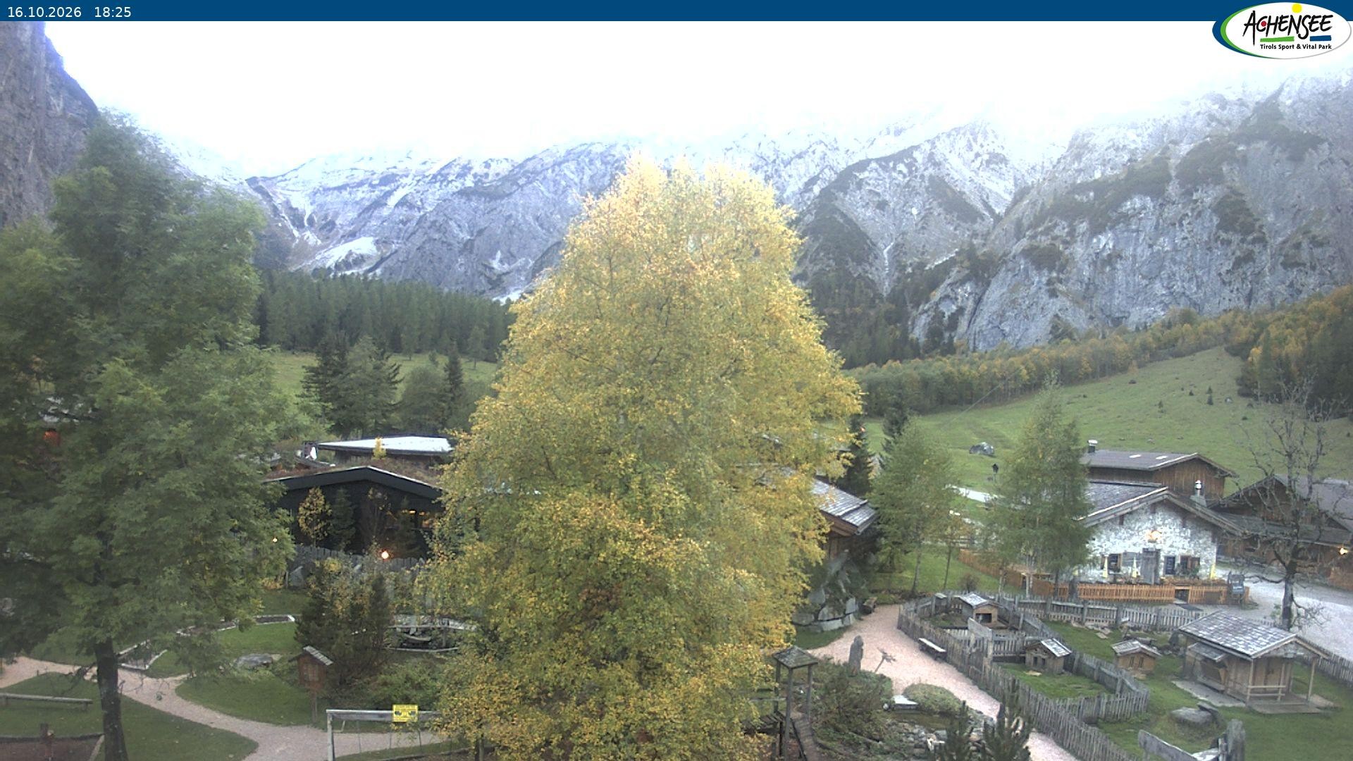 Archiv Foto Webcam Gramaialm bei Pertisau