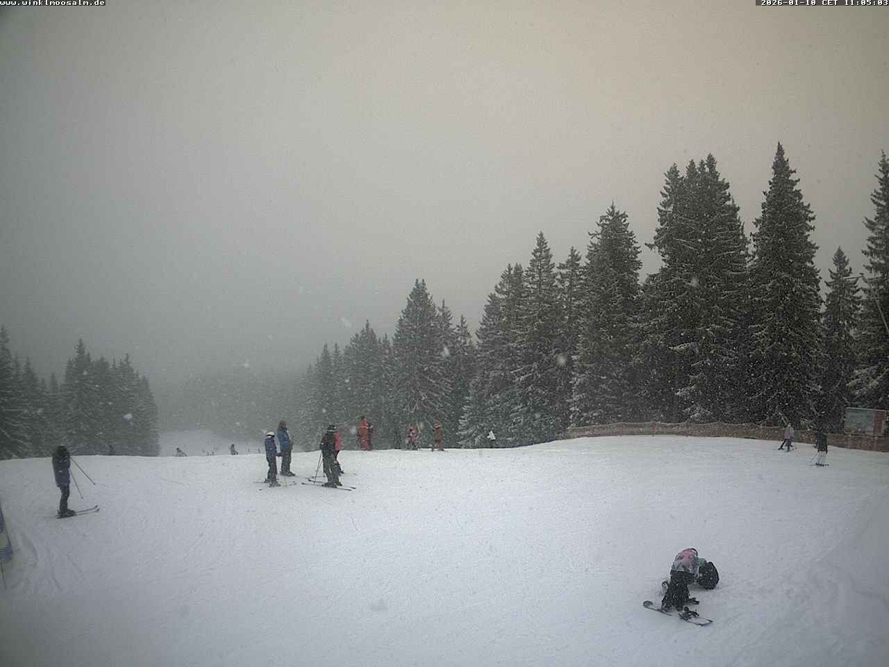 Archiv Foto Webcam Ausblick Scheibelberg