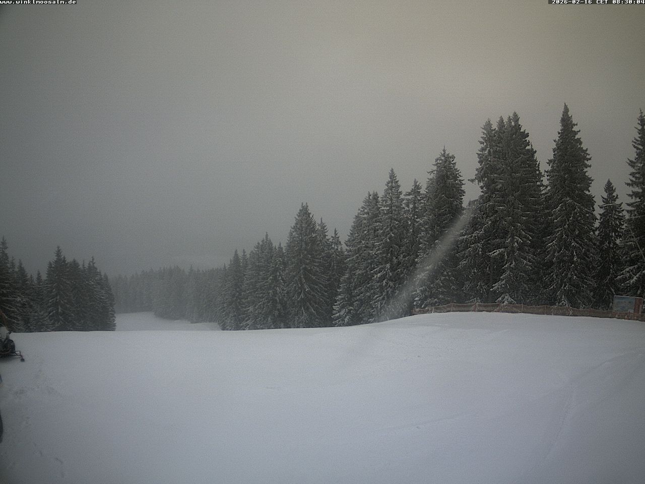 Archiv Foto Webcam Ausblick Scheibelberg