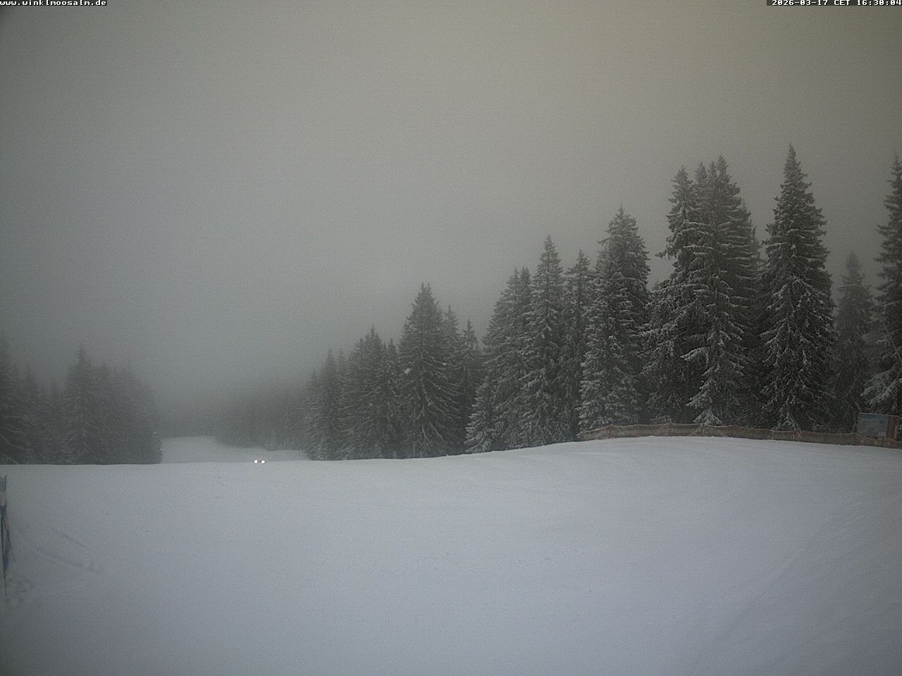 Archiv Foto Webcam Ausblick Scheibelberg