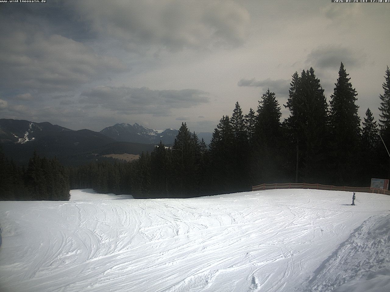 Archived image Webcam Panorama Scheibelberg