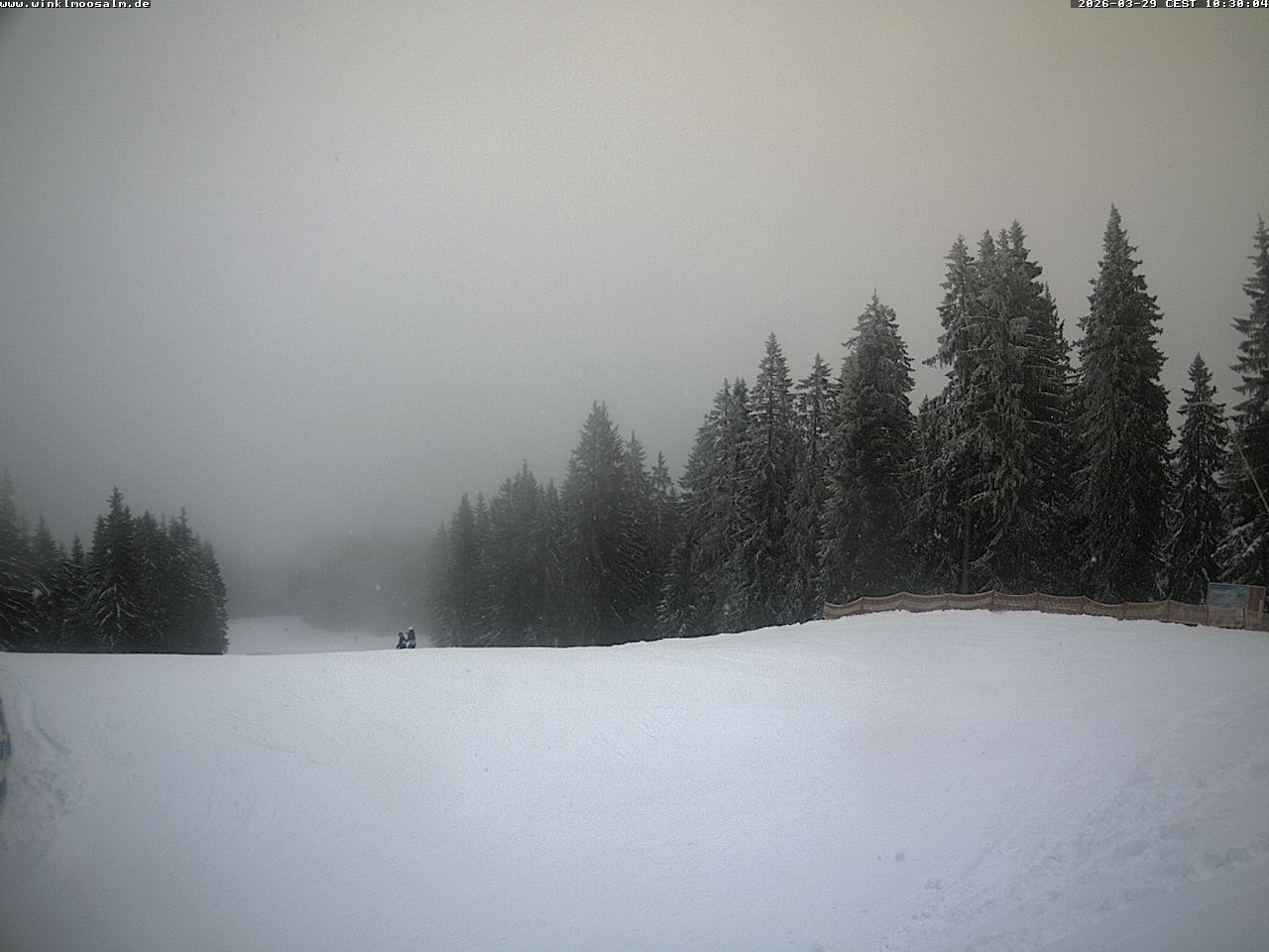 Archiv Foto Webcam Ausblick Scheibelberg