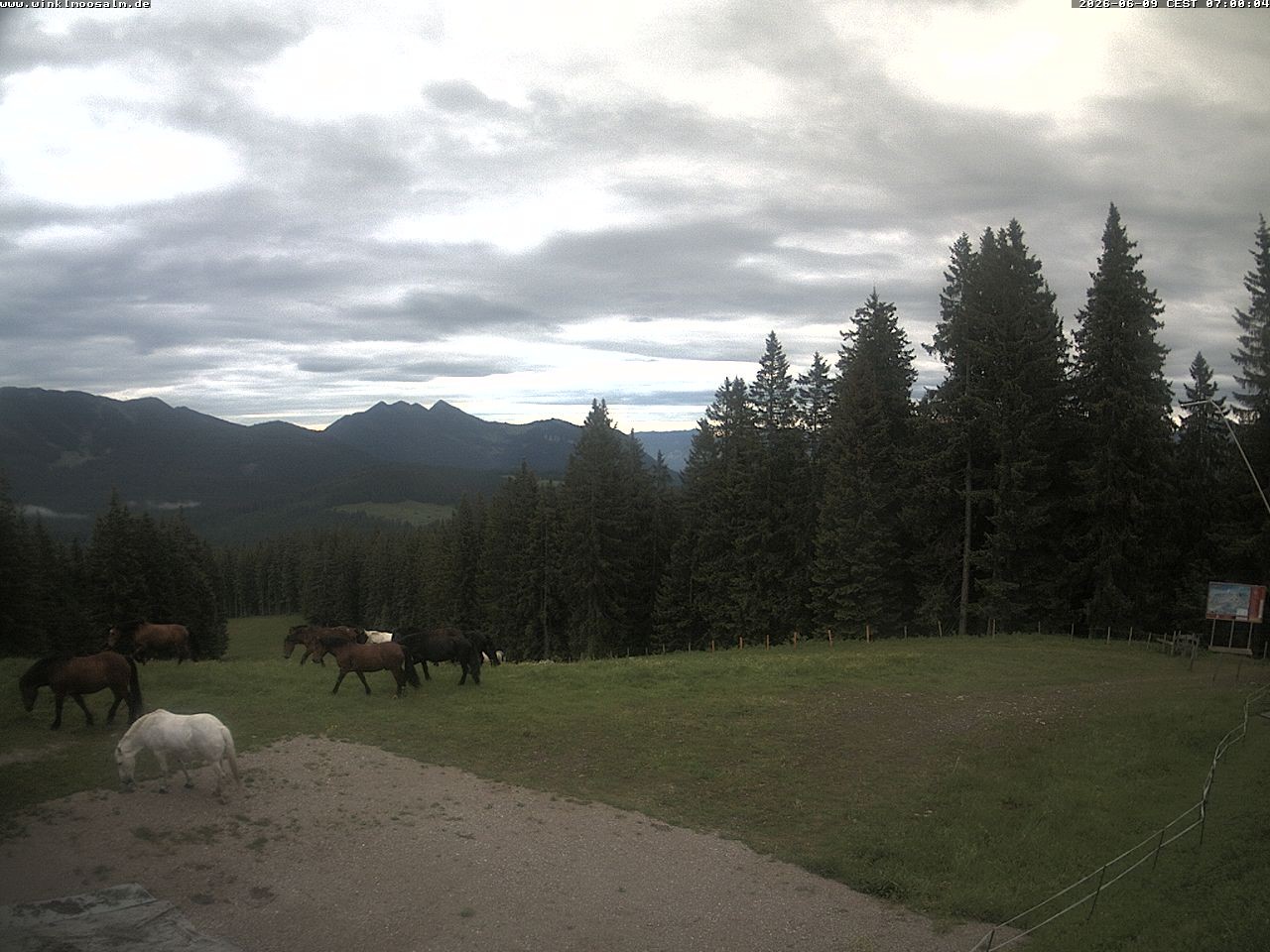 Archiv Foto Webcam Ausblick Scheibelberg