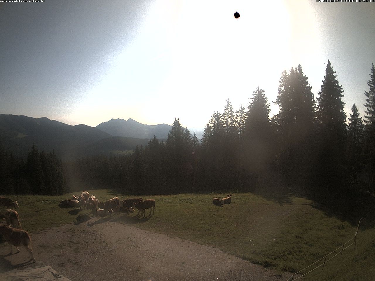 Archiv Foto Webcam Ausblick Scheibelberg