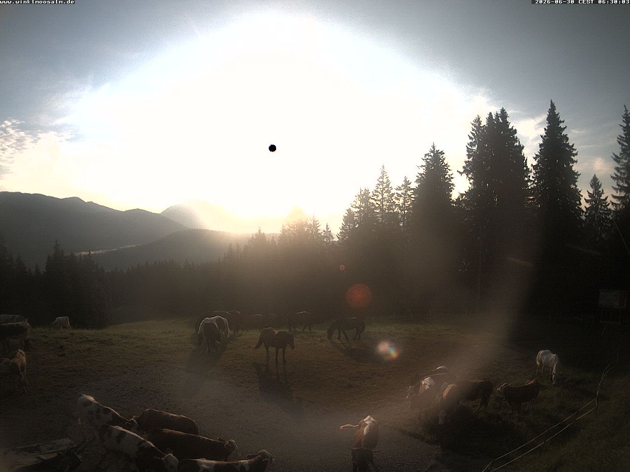 Archiv Foto Webcam Ausblick Scheibelberg