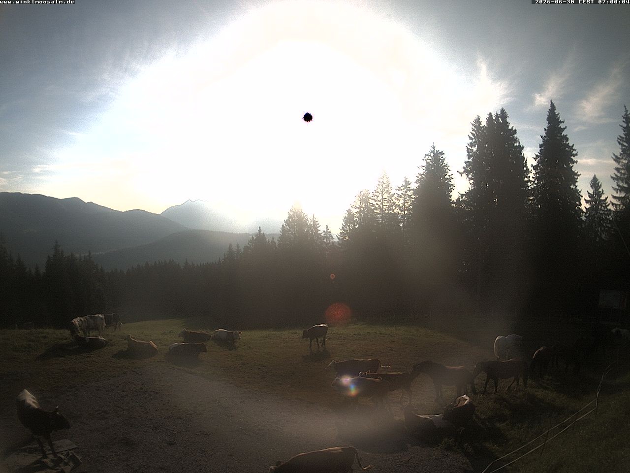 Archiv Foto Webcam Ausblick Scheibelberg