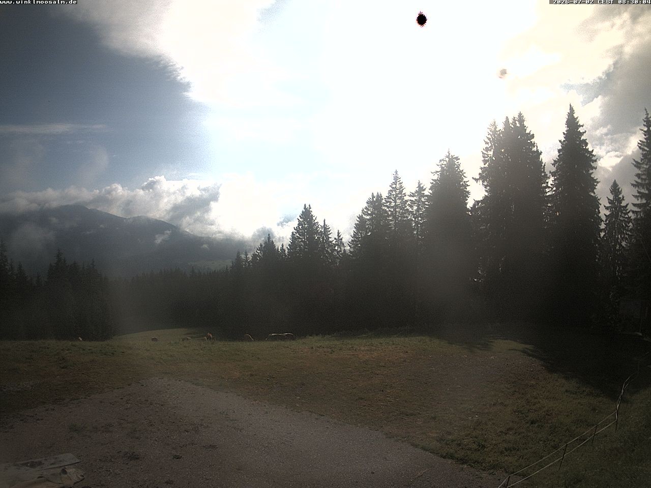Archived image Webcam Panorama Scheibelberg